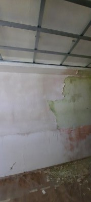 20250617_083146.jpg