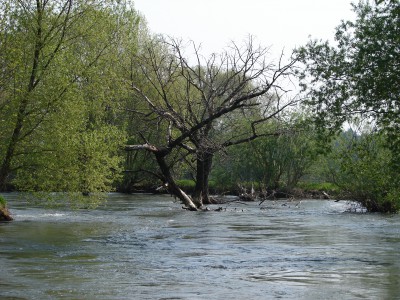 Lukavice - řeka Morava