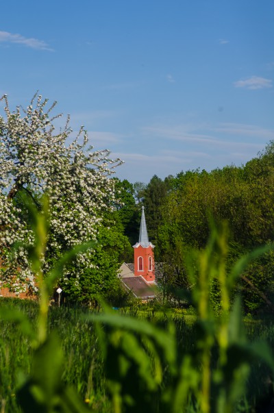 Jaro ve Slavoňově